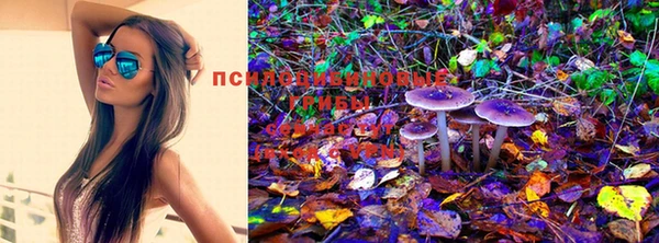 стафф Магадан