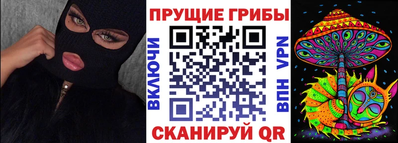 Галлюциногенные грибы Psilocybine cubensis  где найти   Берёзовка 